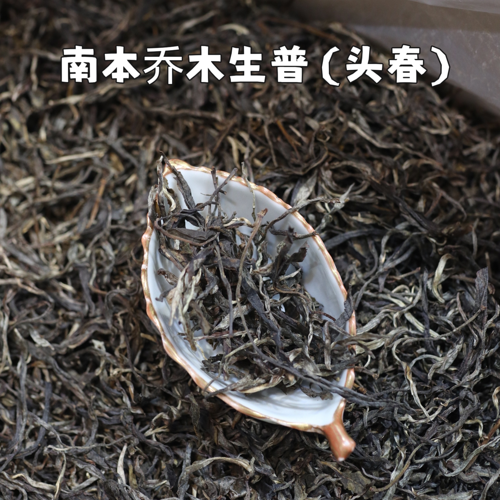2022年 南本老寨乔木生普（头春散茶）品鉴装  50克