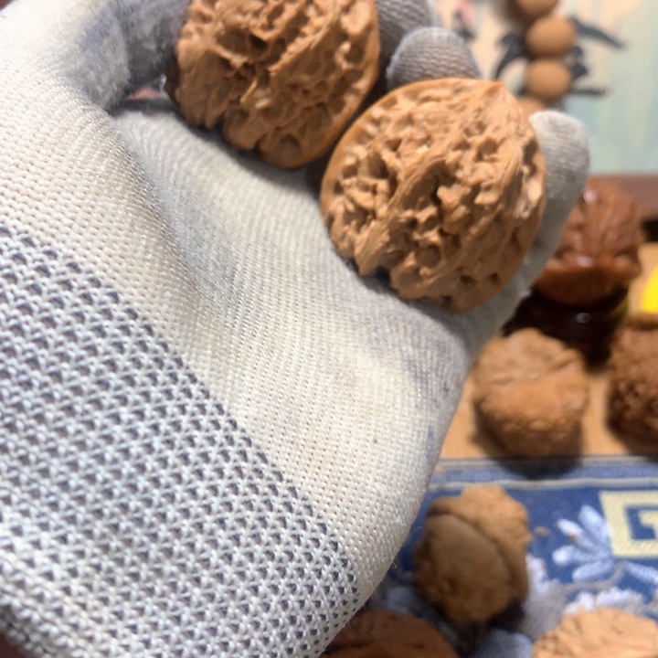 亮***错哈哈哈哈哈哈哈哈哈哈哈