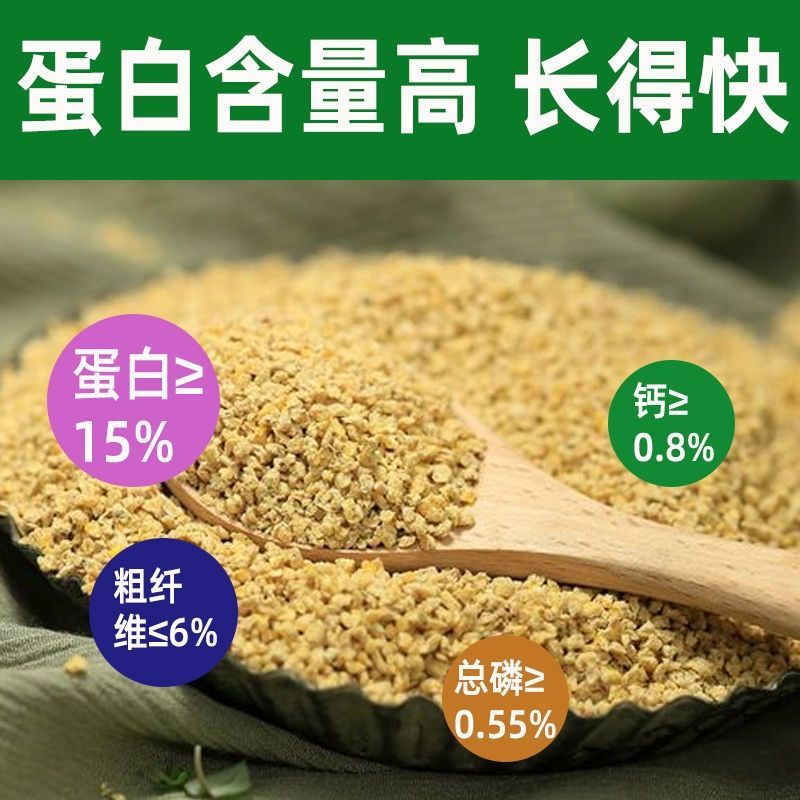【专用款】婆罗门专用饲料