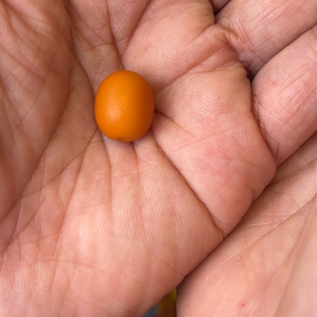 未镶嵌琥珀吊坠(不含链)