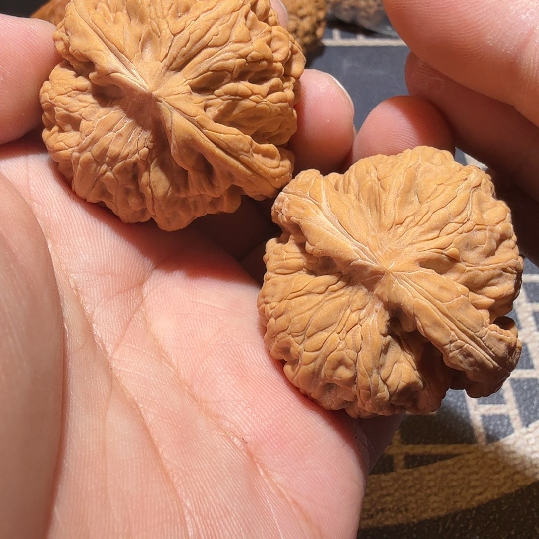 文玩核桃吊坠红锦鲤