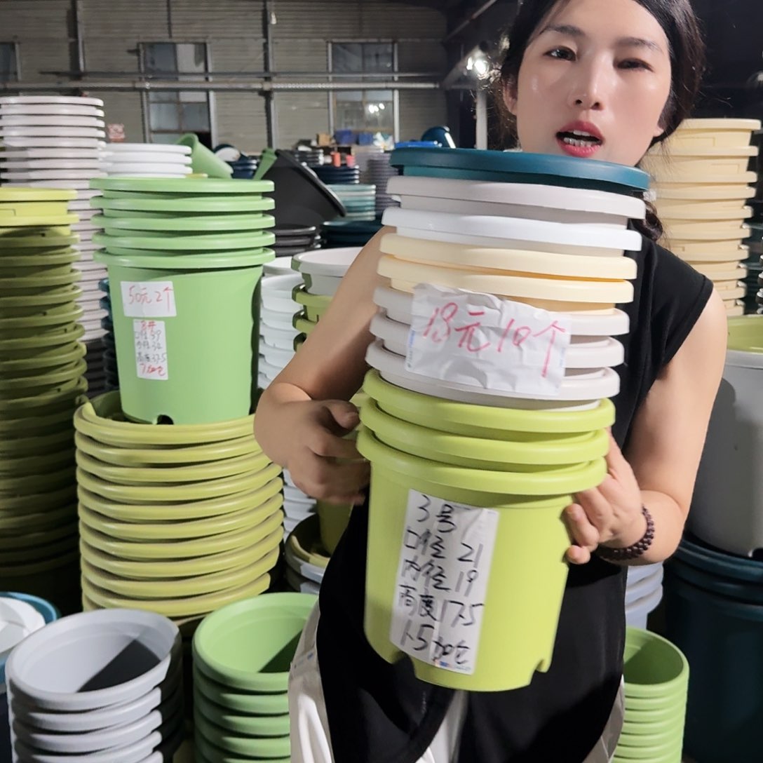 微瑕3#无拖果绿10个