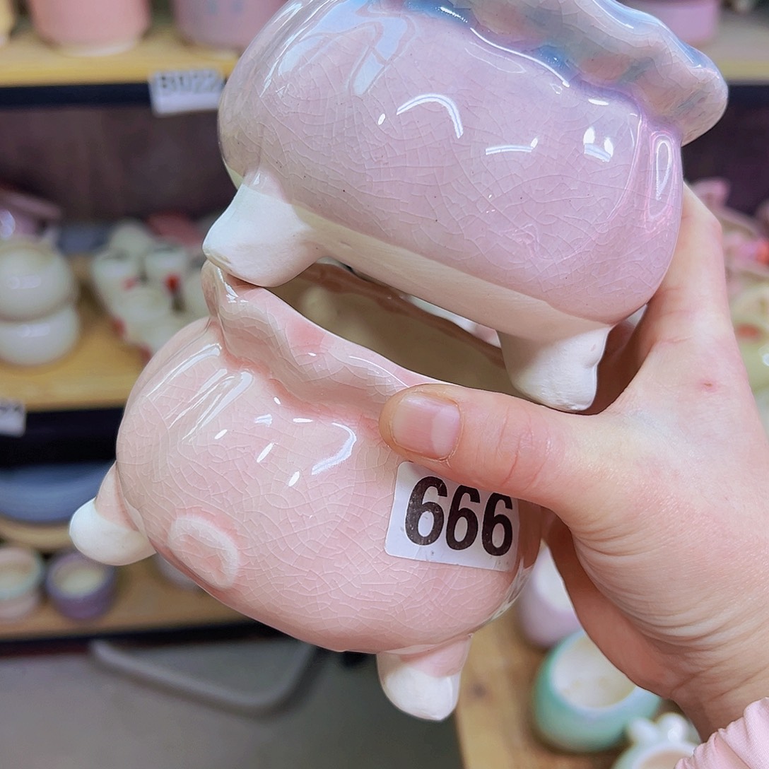 陶瓷花盆当场凑到12包邮