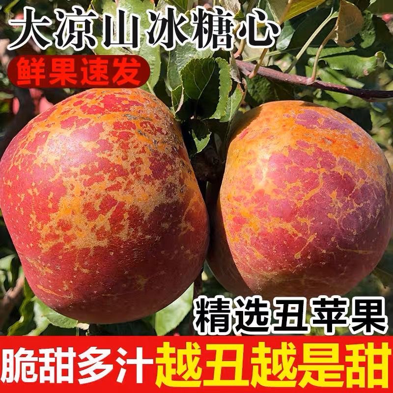 D大凉山丑苹果新鲜水果盐源丑苹果红富士当季