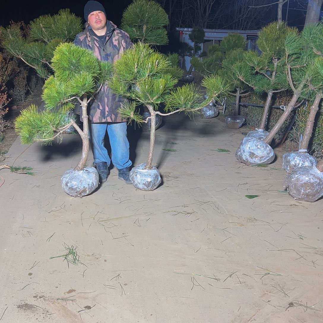 老**生8888888888888