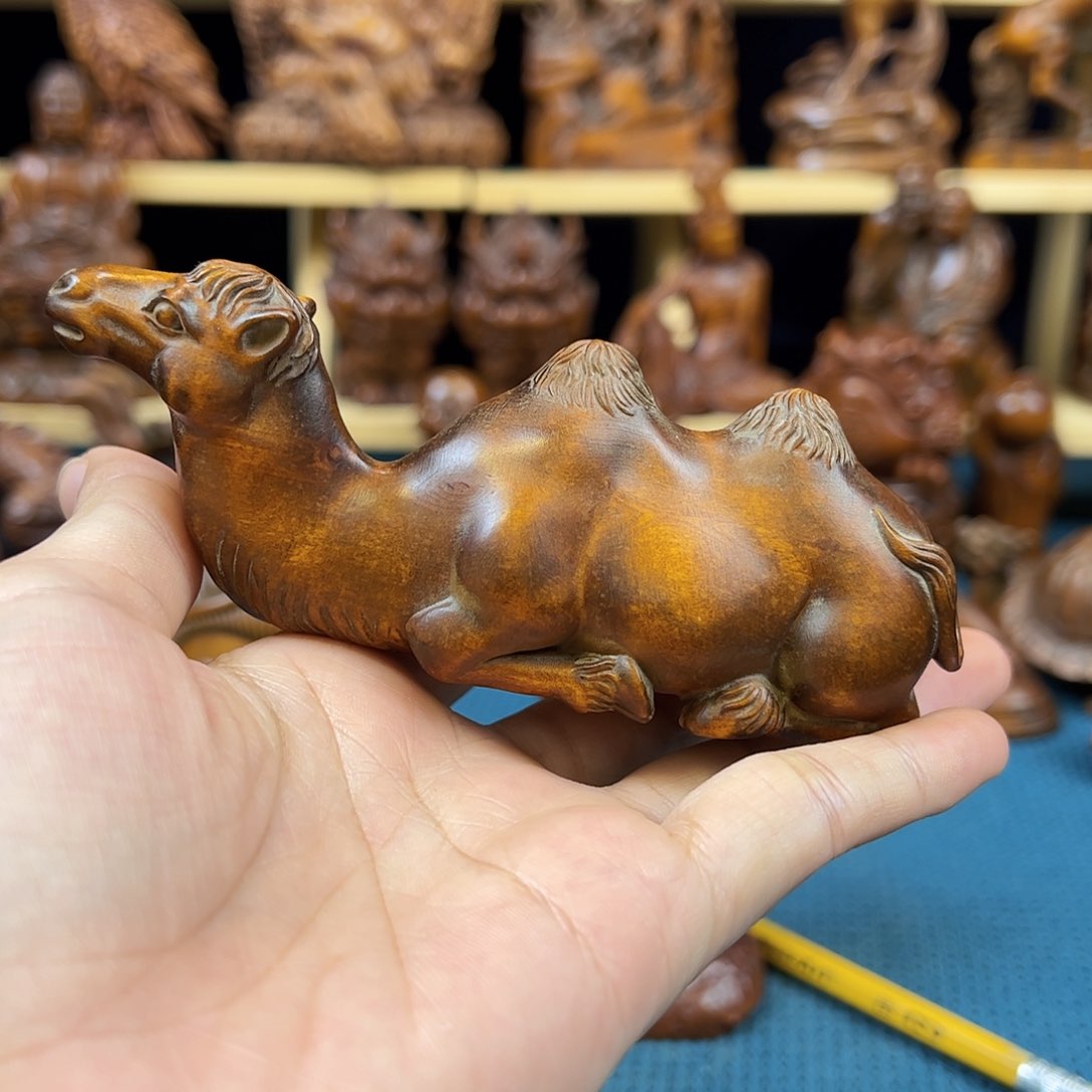 黄杨木闲**鹤小叶黄杨木