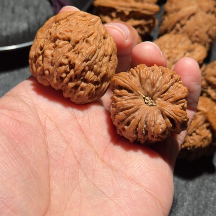 自***丶核桃全品红皮凹底拉丝团子疆