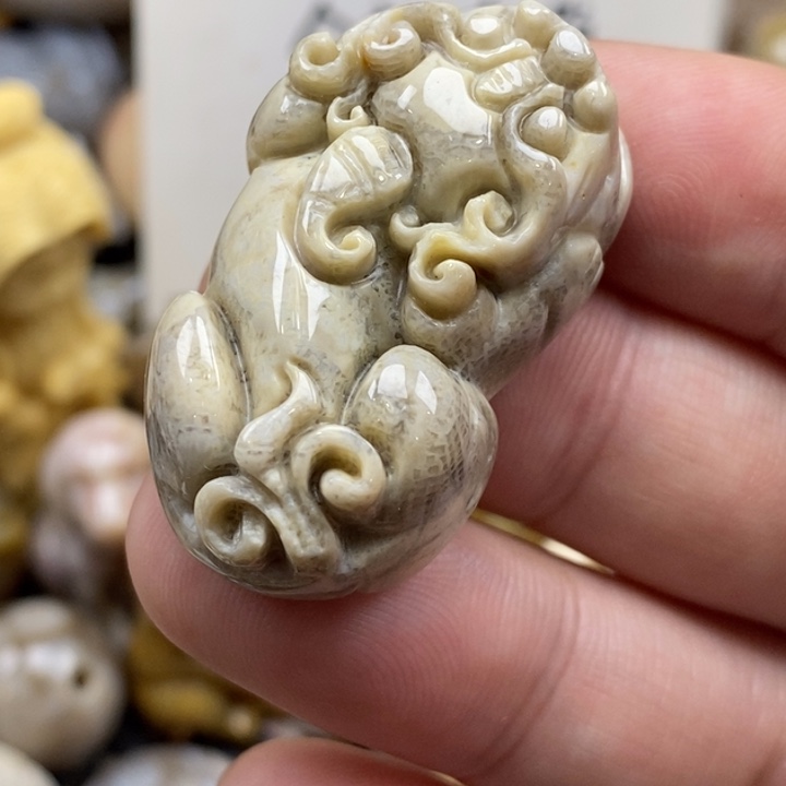 硅化珊瑚（珊瑚玉）未镶嵌颈饰