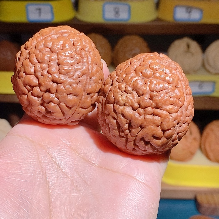 野生三瓣脑纹大金刚4550