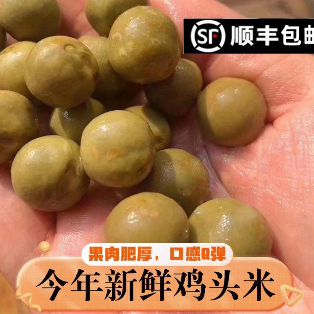 安徽霍邱特产新鲜带壳中大号鸡头果芡实鸡头米