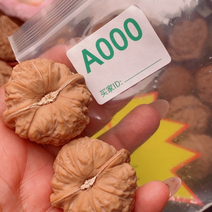 南瓜40尺000号123