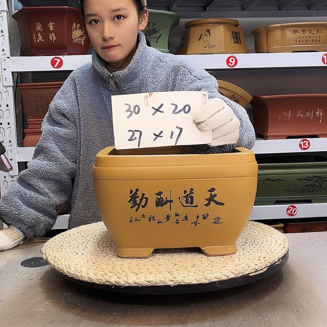 紫砂花盆紫砂花盆