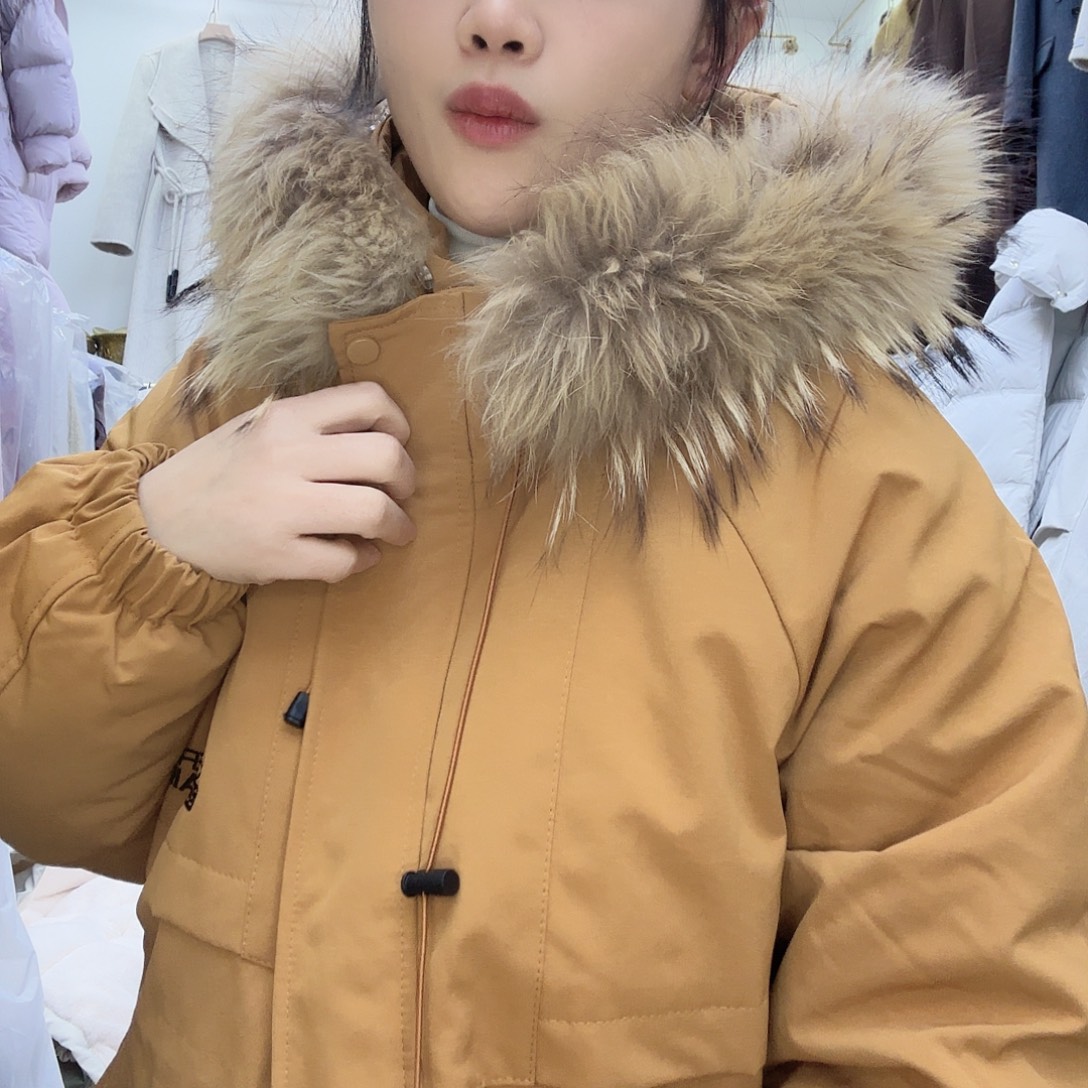 88117款南瓜色均码号