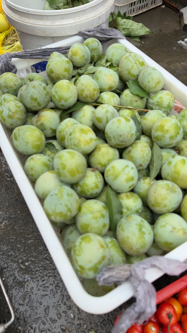【酸甜李子】露天水果营养美味