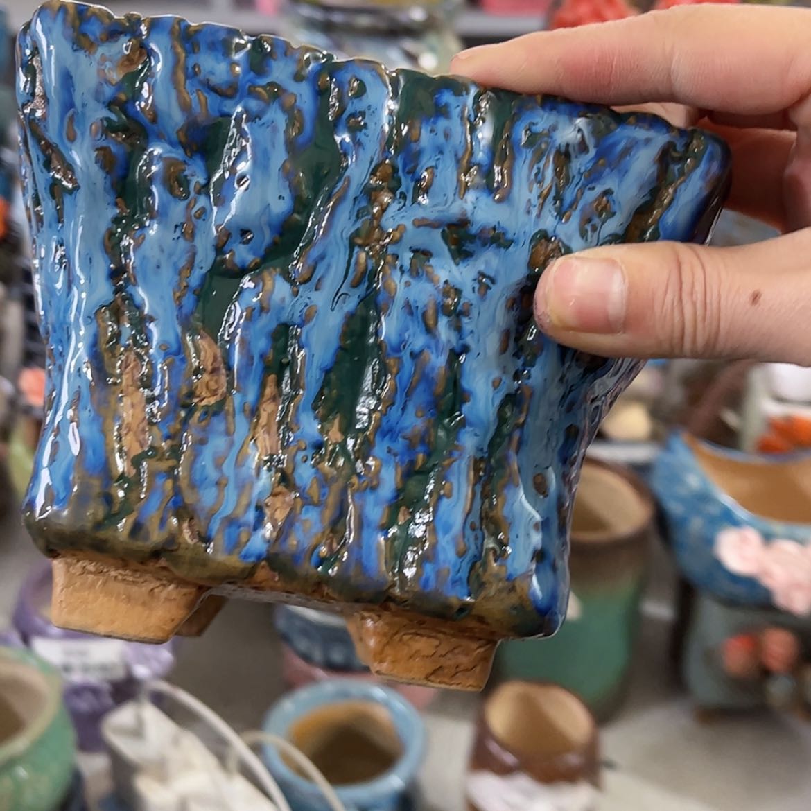 【闪购商品】红陶福利