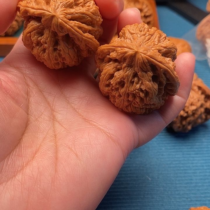 粗筋42尺已打底手把件