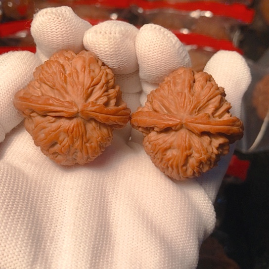 文玩核桃把件白狮子36