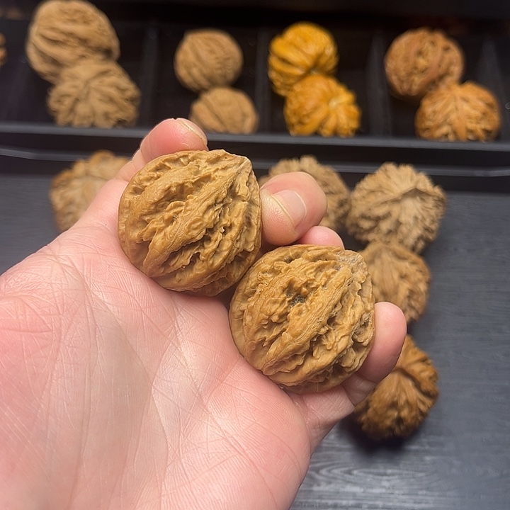 核桃秦岭山脉中段怒江与澜沧江