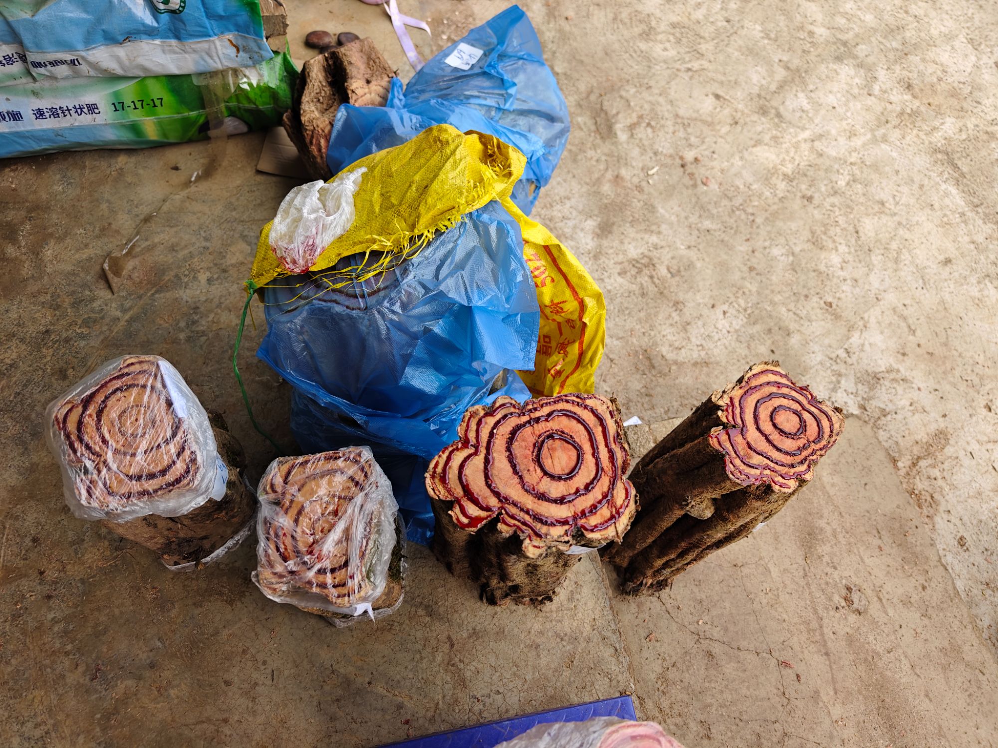 云南山货 大雪藤三叶大树干