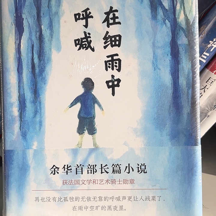 在细雨中呼喊全新精装