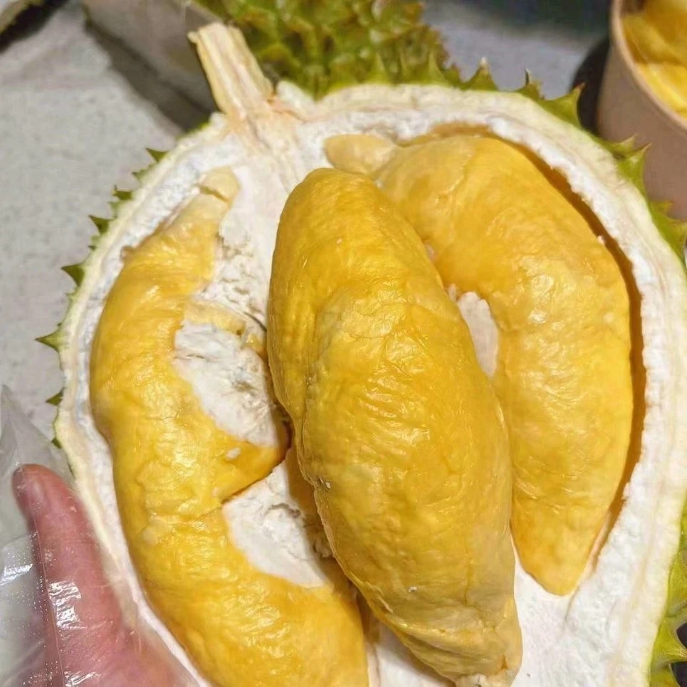 【双A一级干尧榴莲3到9斤核大】软糯香甜顺丰同城送货上门液氮榴莲干尧越南社会主义共和国