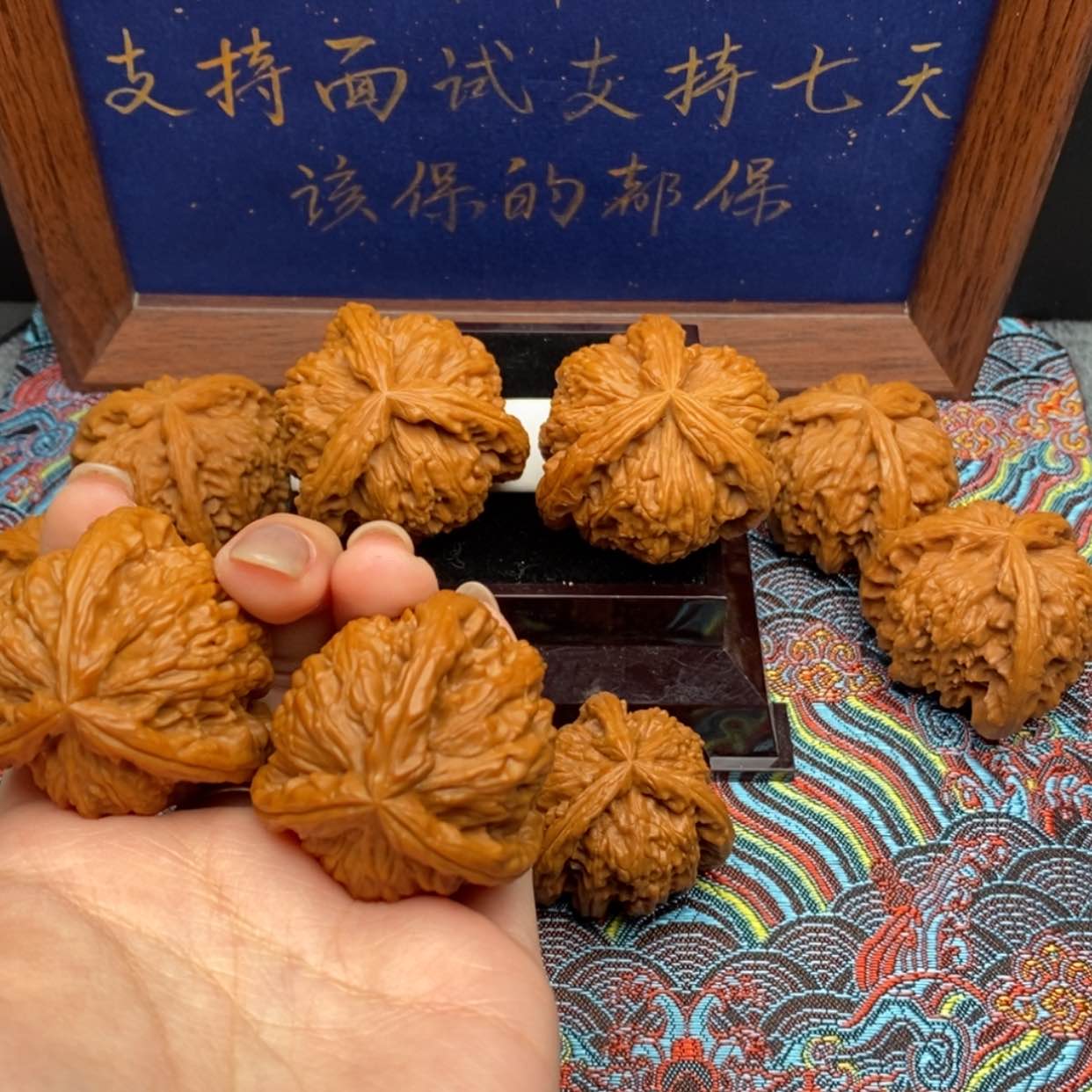 【闪购商品】阿*白狮