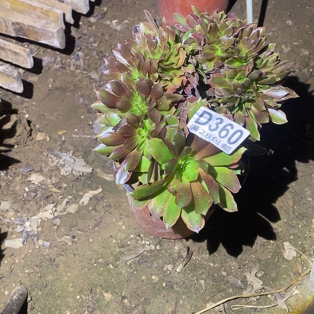 360不凑单顺丰到付运费自理25元