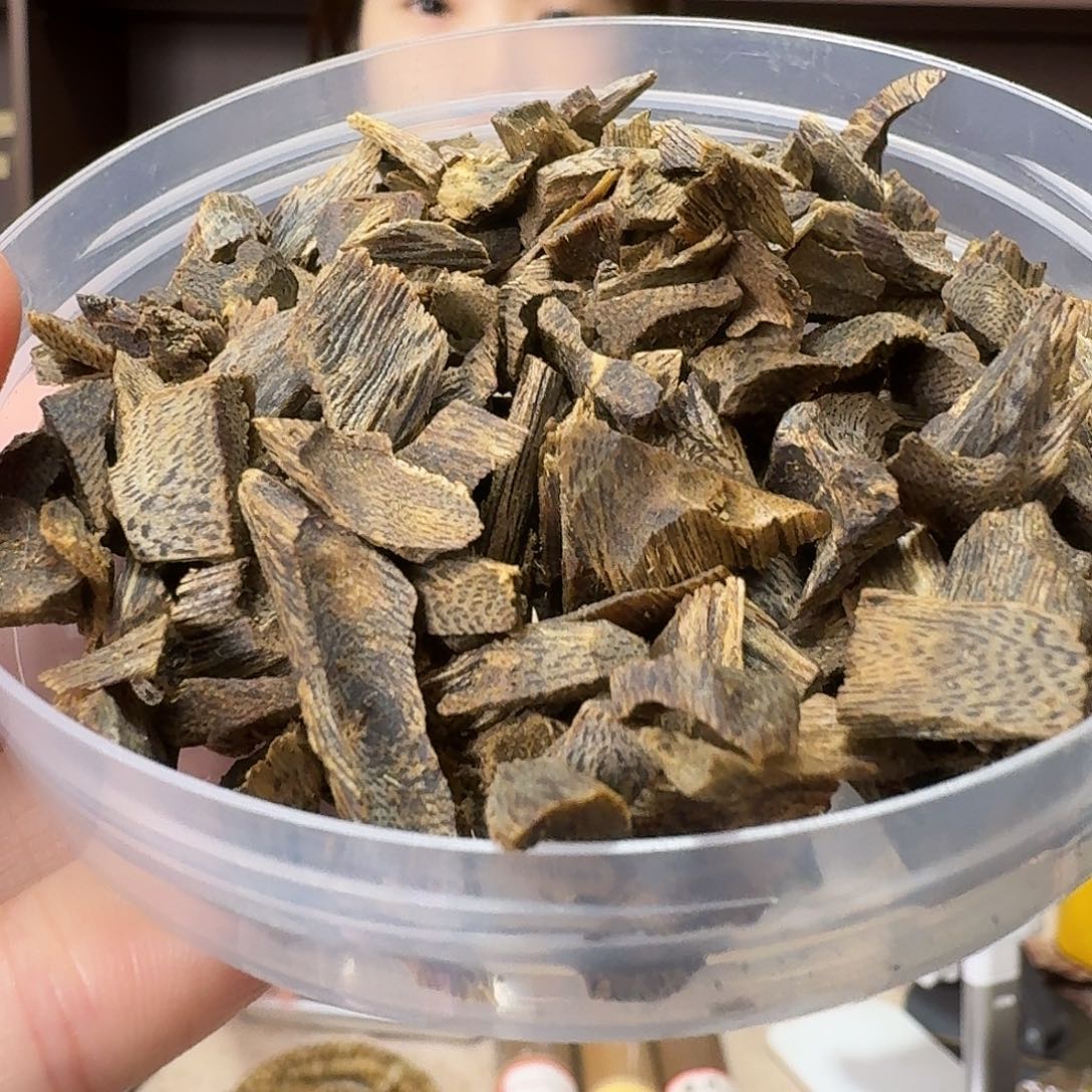 沉香碎屑沉香乌身原母树沉水树丁20克