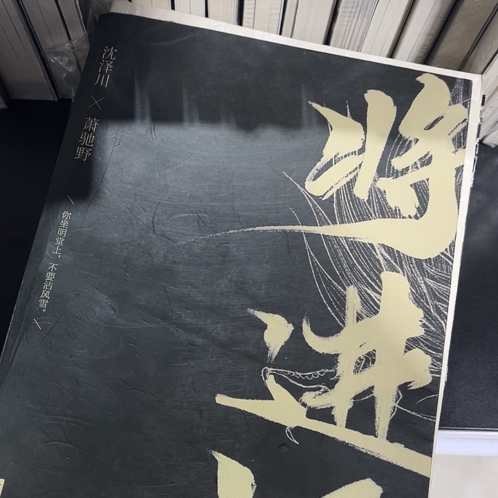 将进酒全新全套四本带周边