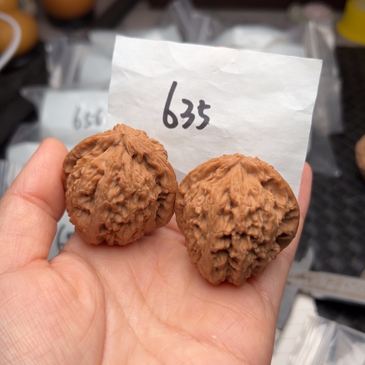 核桃40尺寸白狮子磕尖