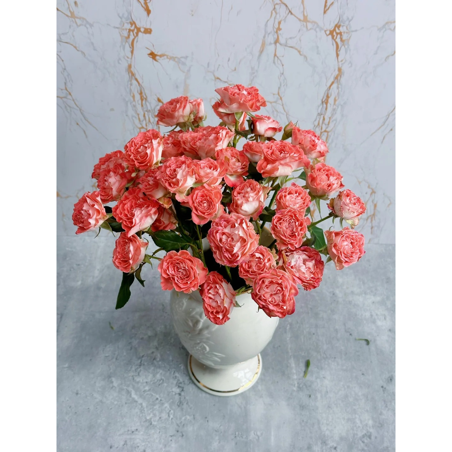 【小仙女】炫彩多色多头玫瑰 5℃以下地区必拍保温棉 不拍冻坏不售