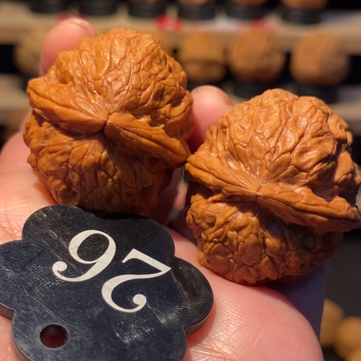 木质类粗筋金蟾舍利37尺寸