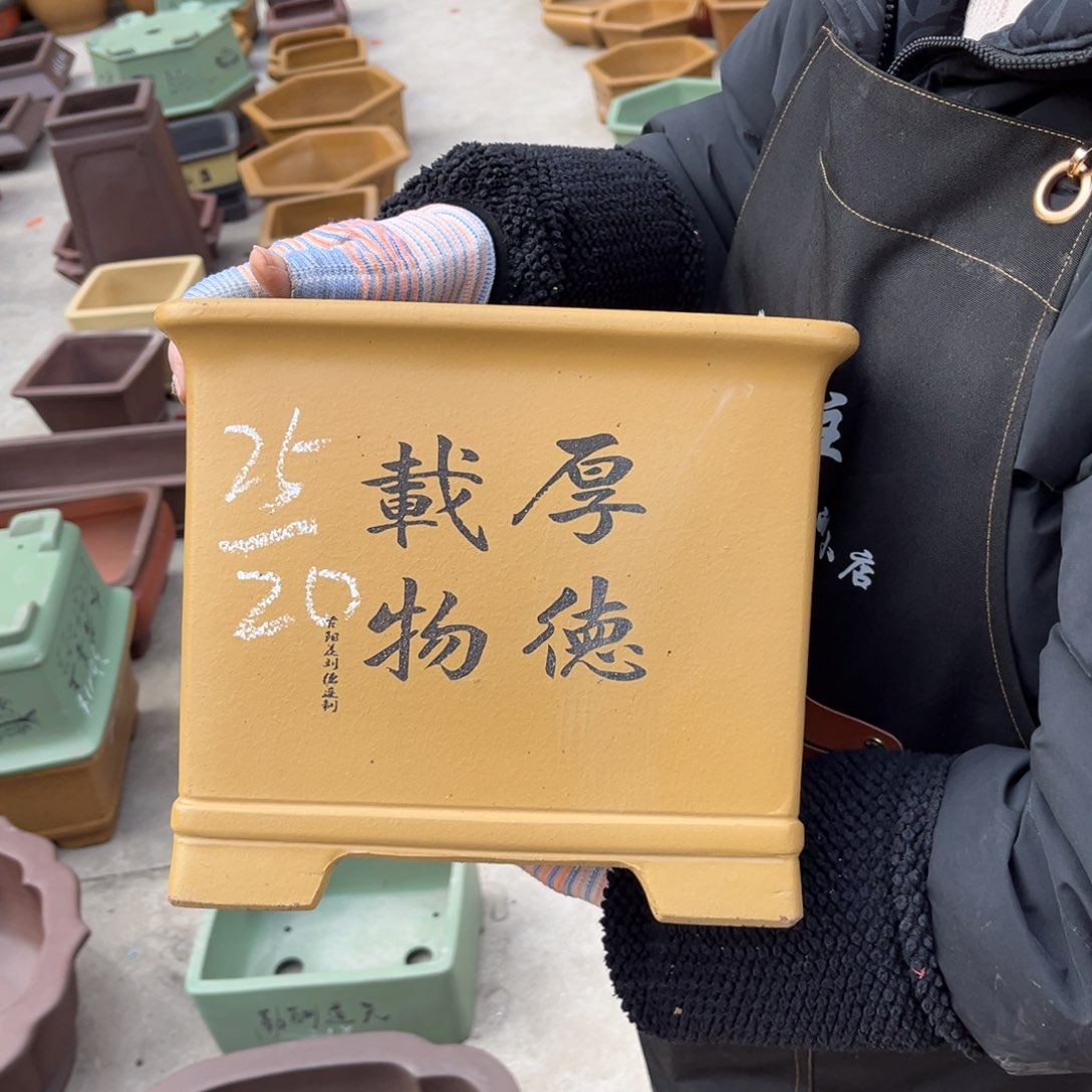 紫砂花盆盆景艺术