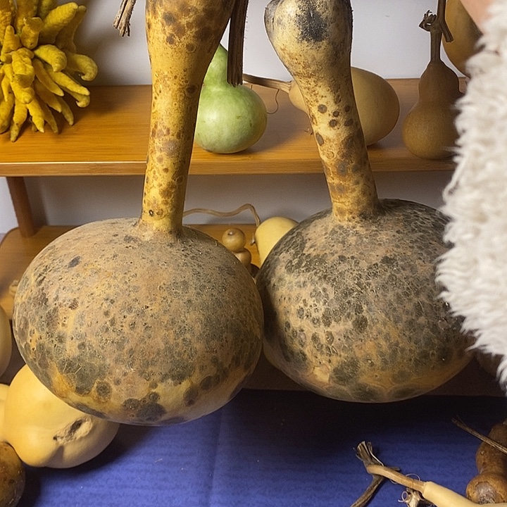 月***的青皮异型葫芦摆件手把