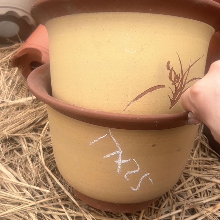 红陶紫砂碗盆口25