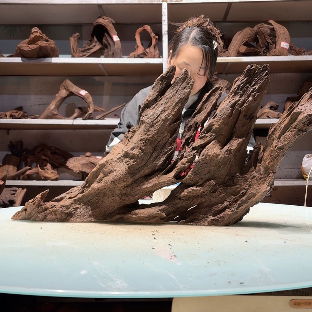 倍诸沉木不包损必褪色与**争6967