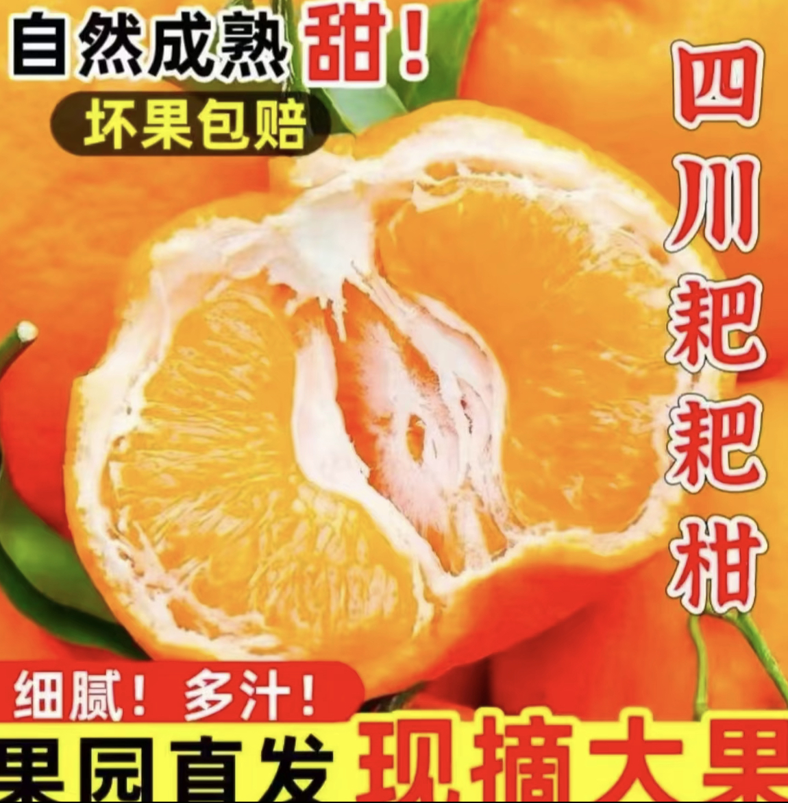 正宗高山春见耙耙柑香甜爆汁新鲜应当季果园现摘水果产地直发-DD