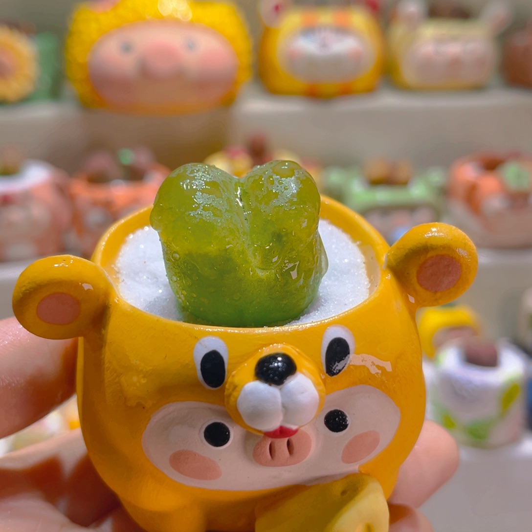 183高端多肉带盆带土手工盆