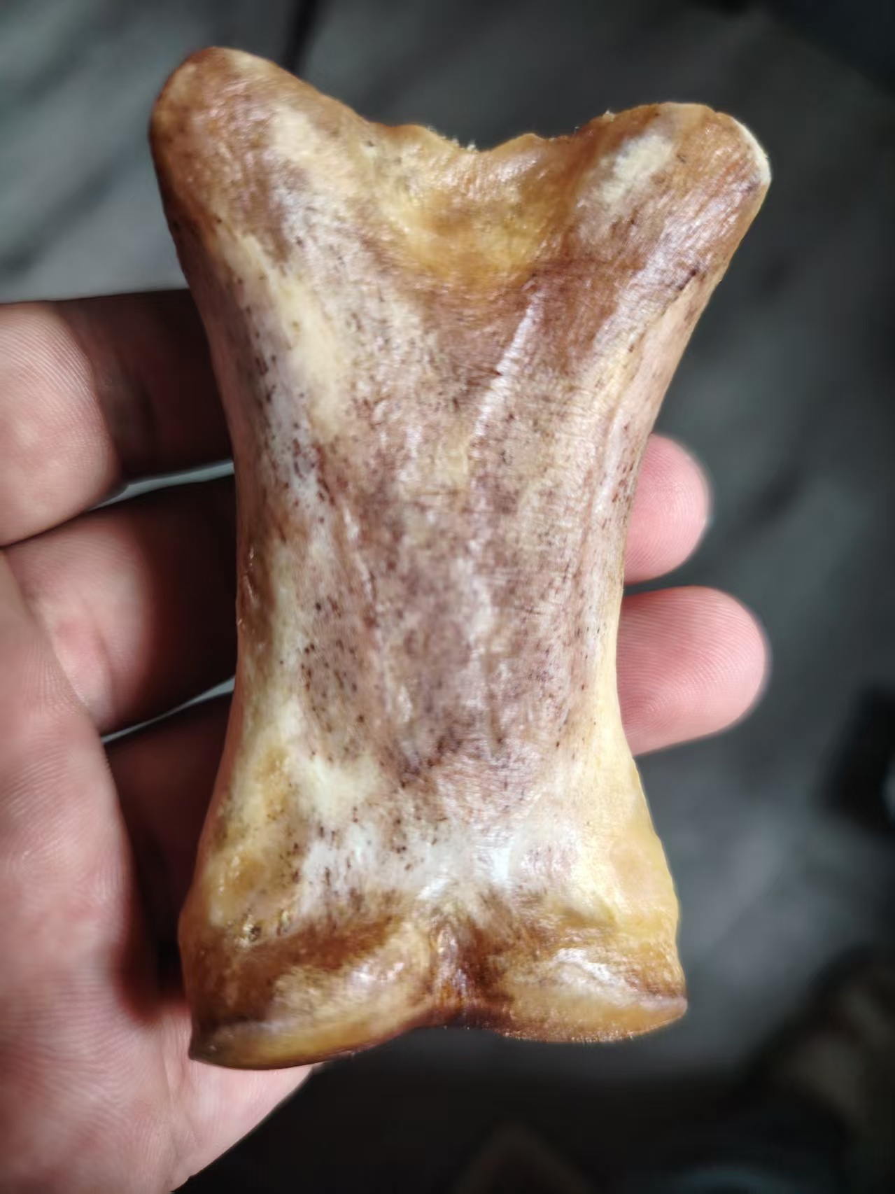 养殖骆驼驼骨制品掌骨指骨趾骨手把件