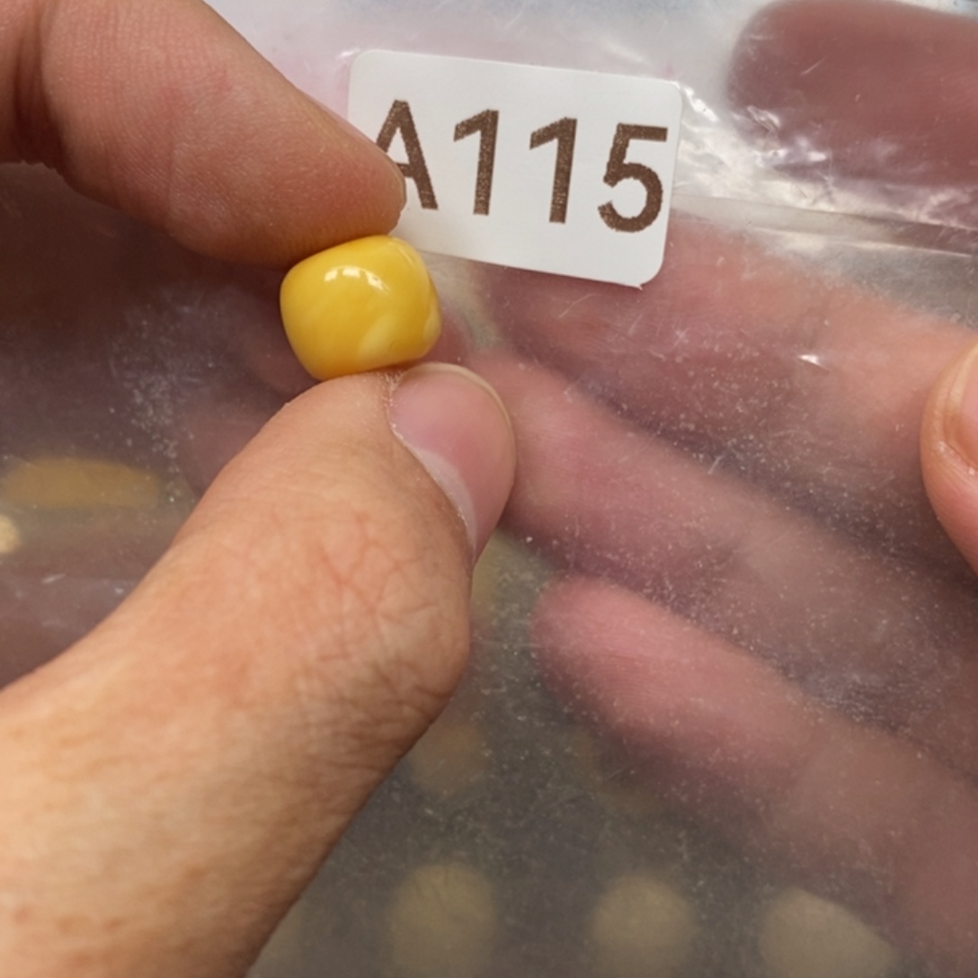 小***头蜜蜡未镶嵌裸石嗯