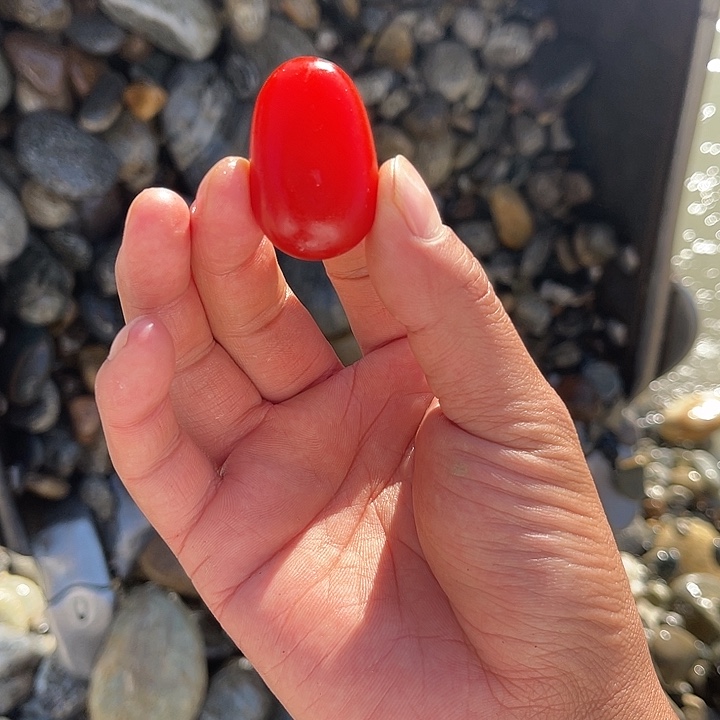 未镶嵌和田玉（糖玉）挂件