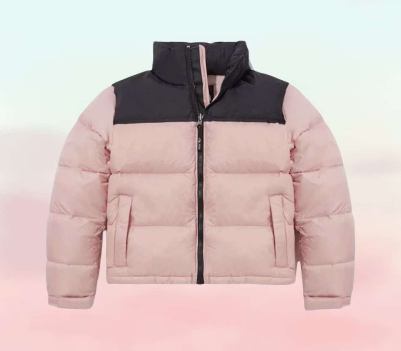 【1:1纯原】TNF正确美版北1996羽绒服700蓬保暖加厚白鹅绒外套