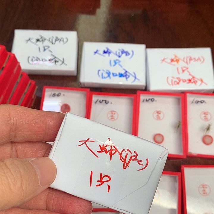 大黄沪C一条哈哈哈哈哈凉风