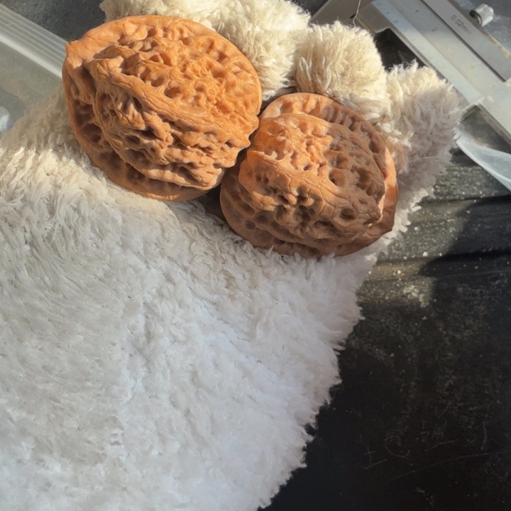 文玩核桃吊坠佛度