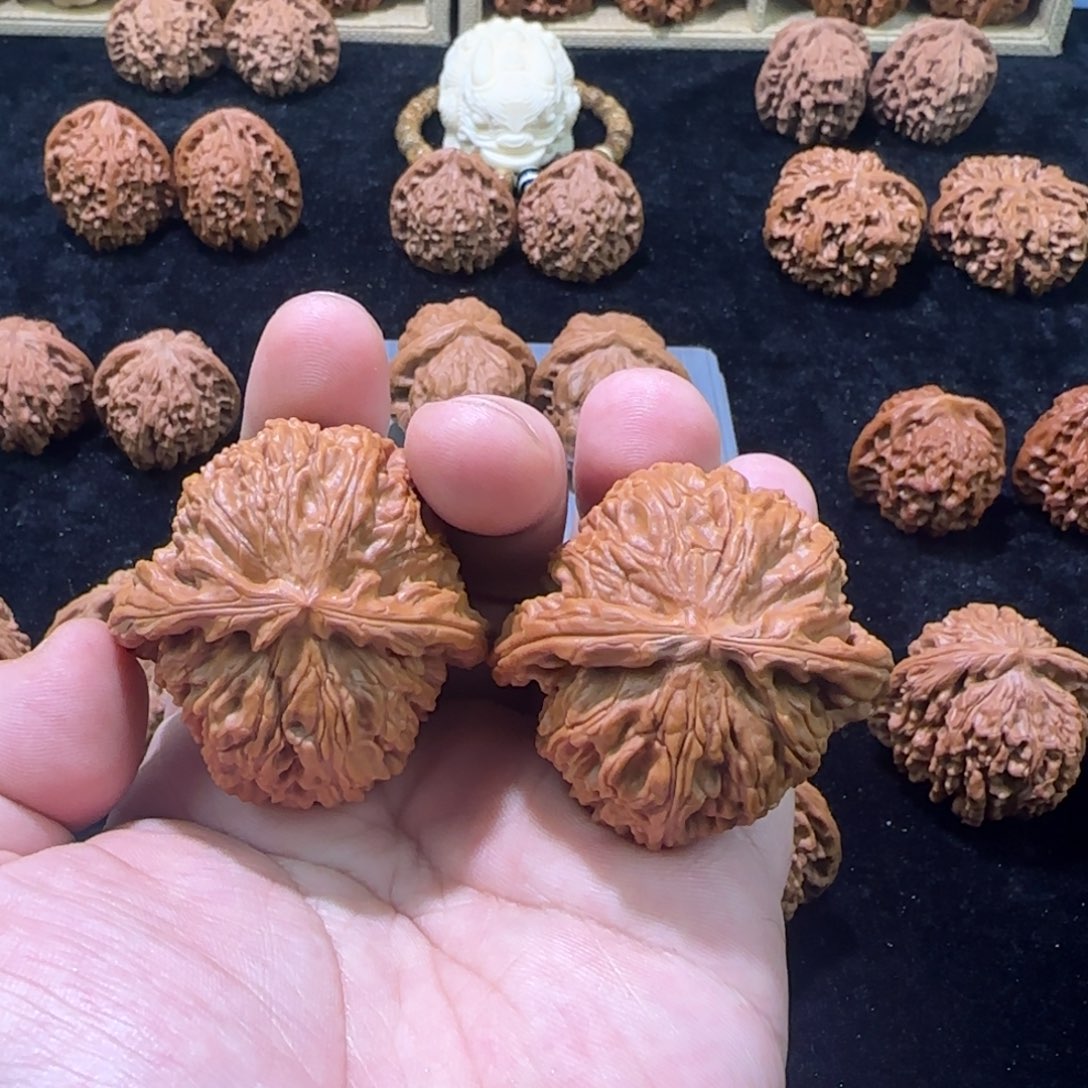 把件文玩核桃46白狮子