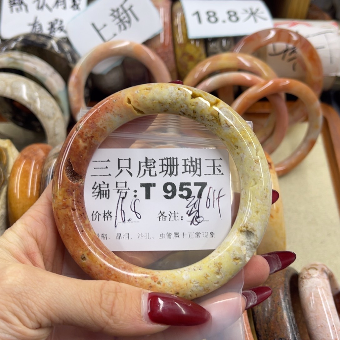 r***店硅化珊瑚（珊瑚玉）未镶嵌h