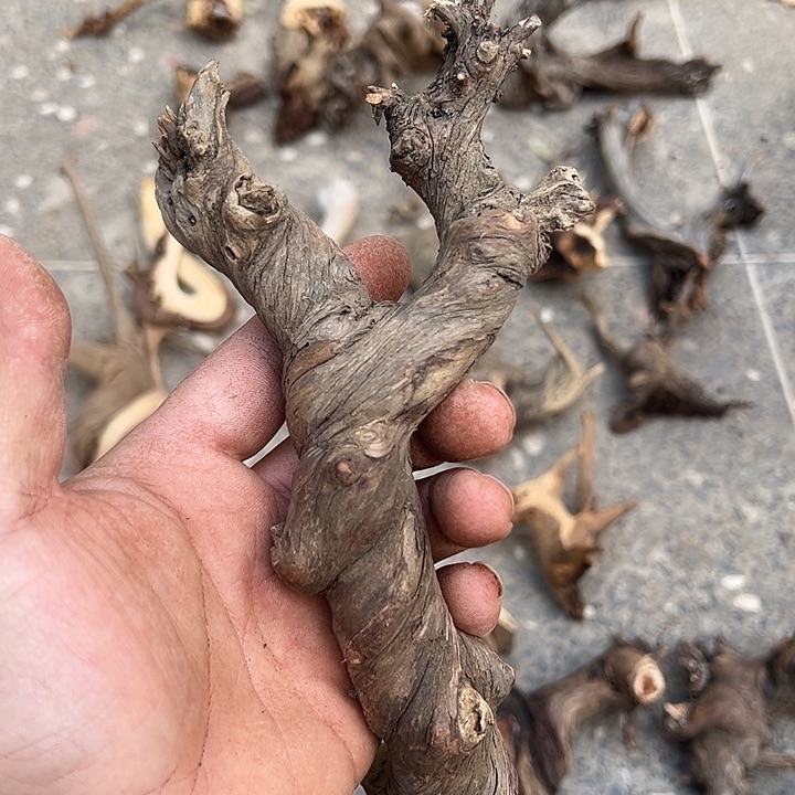 大叶紫檀（黑酸枝木类）海**0