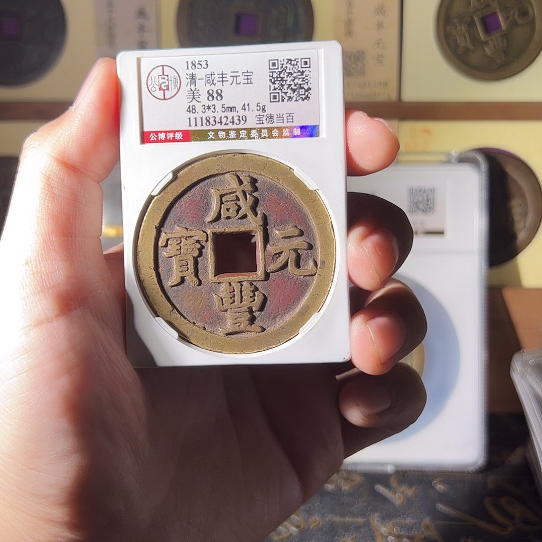 金三*雨雨雨雨雨雨雨雨雨雨雨雨雨雨