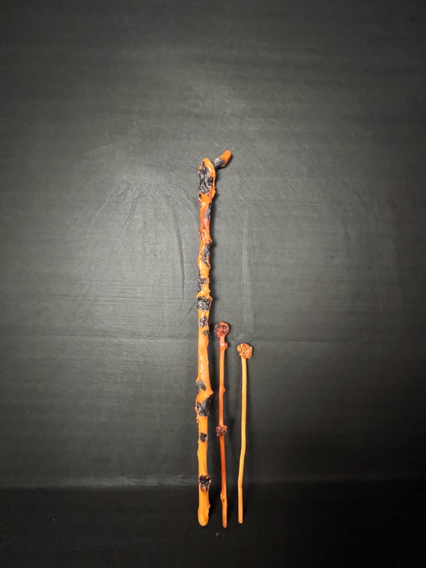 云南黑果木拐杖登山杖