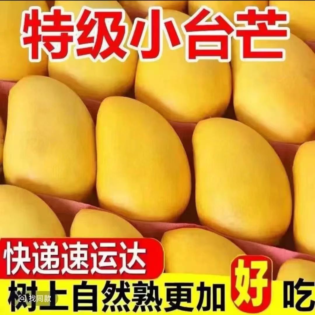 【助农补贴】放软吃小台农芒果现摘现发新鲜应季水果带箱